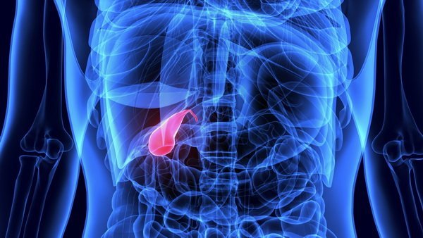 gallbladder removal surgery Gallmet capseules