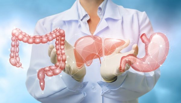 Gallmet helps with your digestive problems
