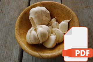 Garlic PDF