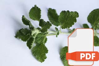 White Horehound PDF