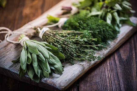 herbs for digestion